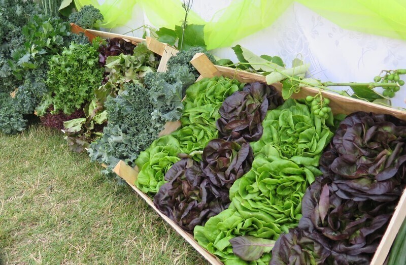 Zdjęcie 9: Grabica znów świętuje 