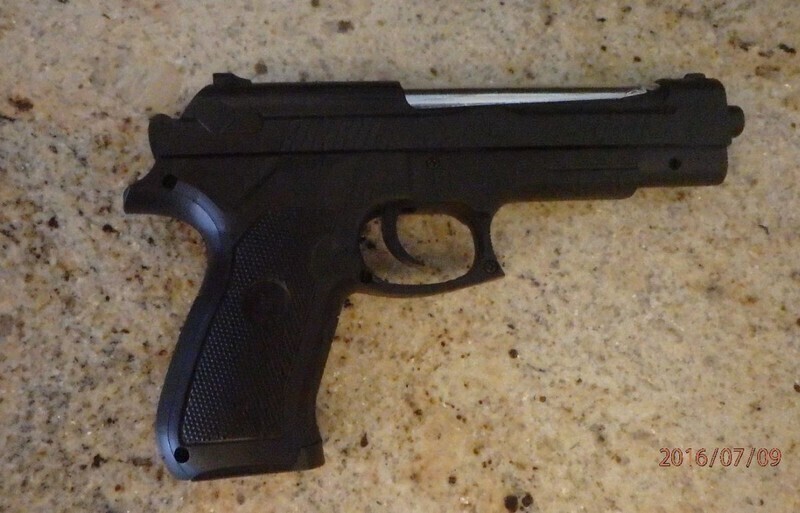 Zdjęcie 3: Strzelali do gołębia z pistoletu na kulki 