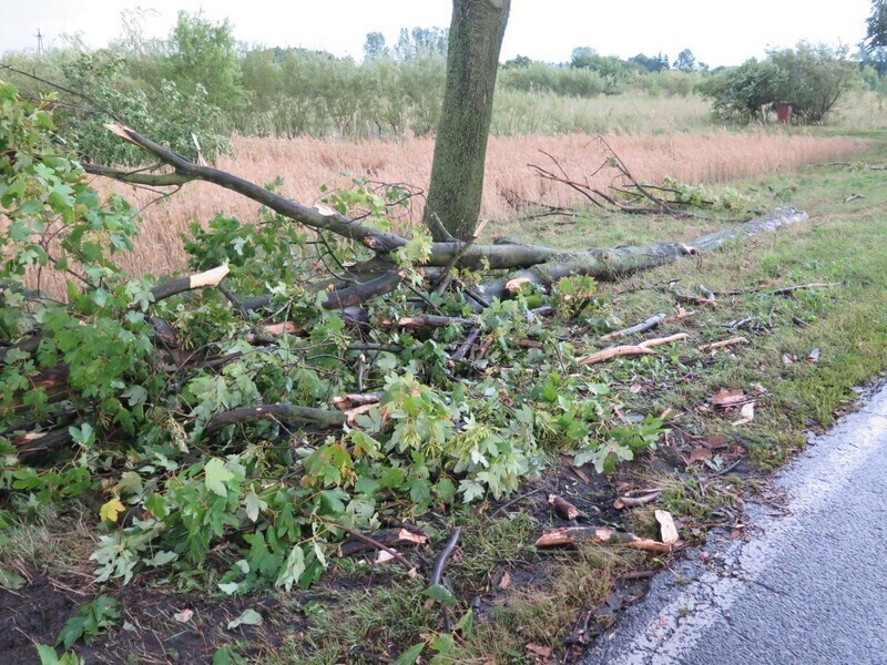 Zdjęcie 4: Nawałnica znowu  zrywała dachy 