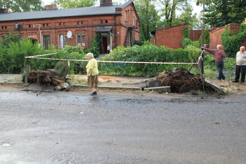 Zdjęcie 14: Najbardziej ucierpiał zabytkowy park i blok przy Dworcowej