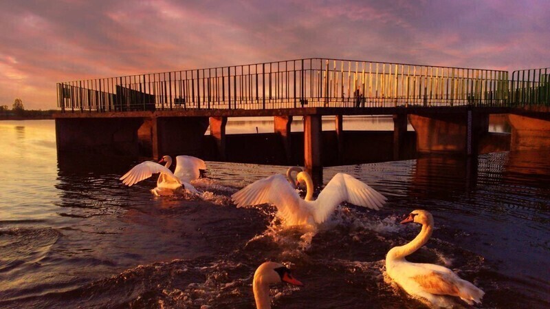 Zdjęcie 3: Zatrzymaj piękno przyrody w kadrze