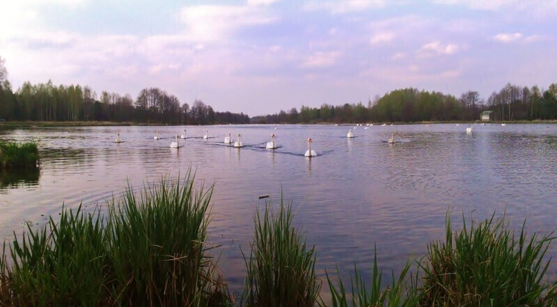 Zdjęcie 4: Zatrzymaj piękno przyrody w kadrze