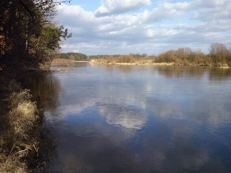 Zdjęcie 5: Zatrzymaj piękno przyrody w kadrze