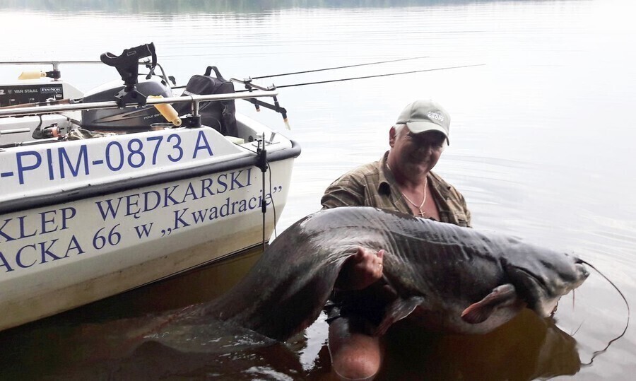 Zdjęcie 1: Taaaaaka ryba! 