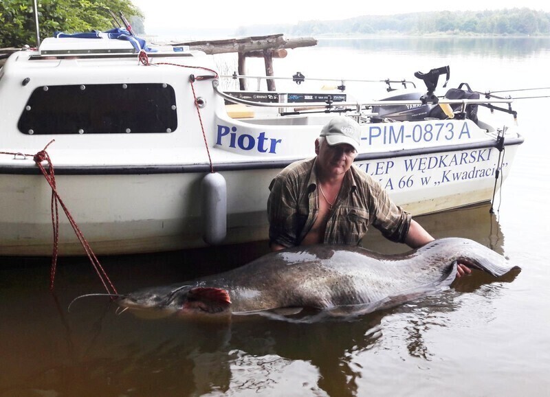 Zdjęcie 3: Taaaaaka ryba! 