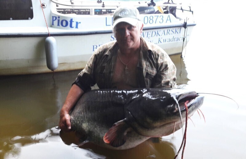 Zdjęcie 6: Taaaaaka ryba! 