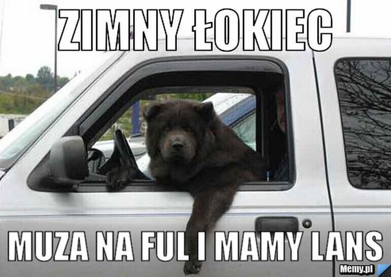 Zdjęcie 6: Zimny łokieć nie jest zabroniony