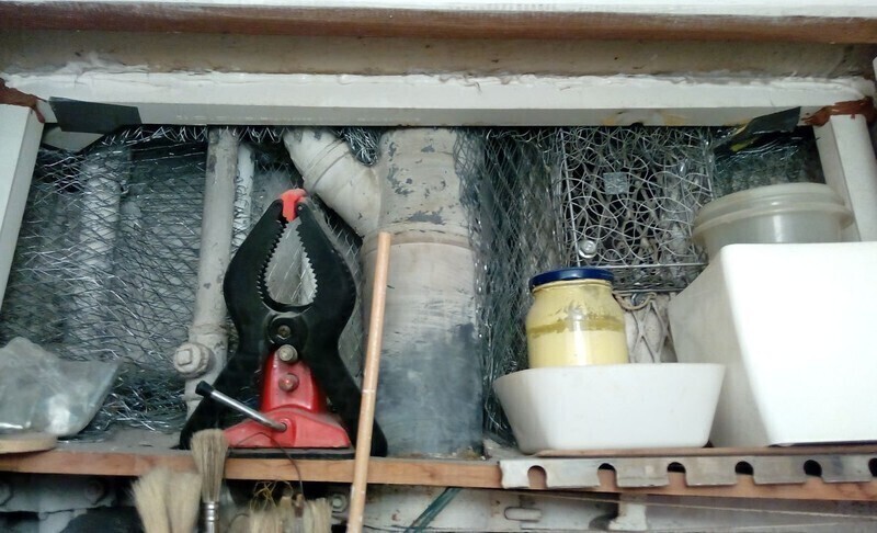 Zdjęcie 3: Na Wysokiej trwa walka ze szczurami