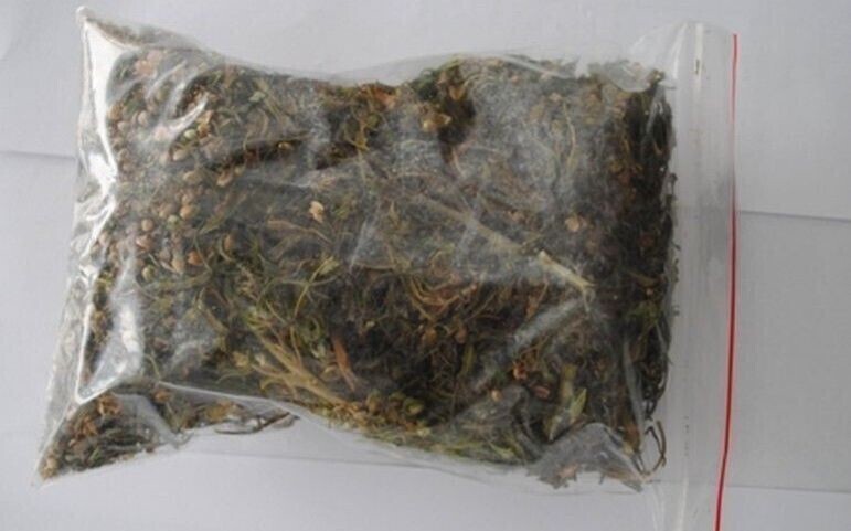 Zatrzymani z marihuaną