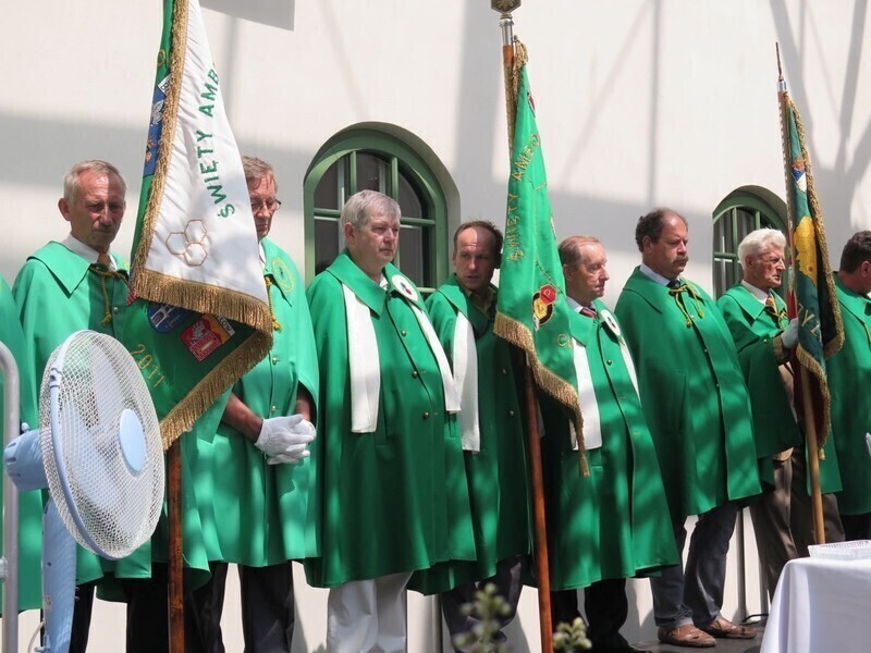 Zdjęcie 4: Bóg stworzył pszczołę