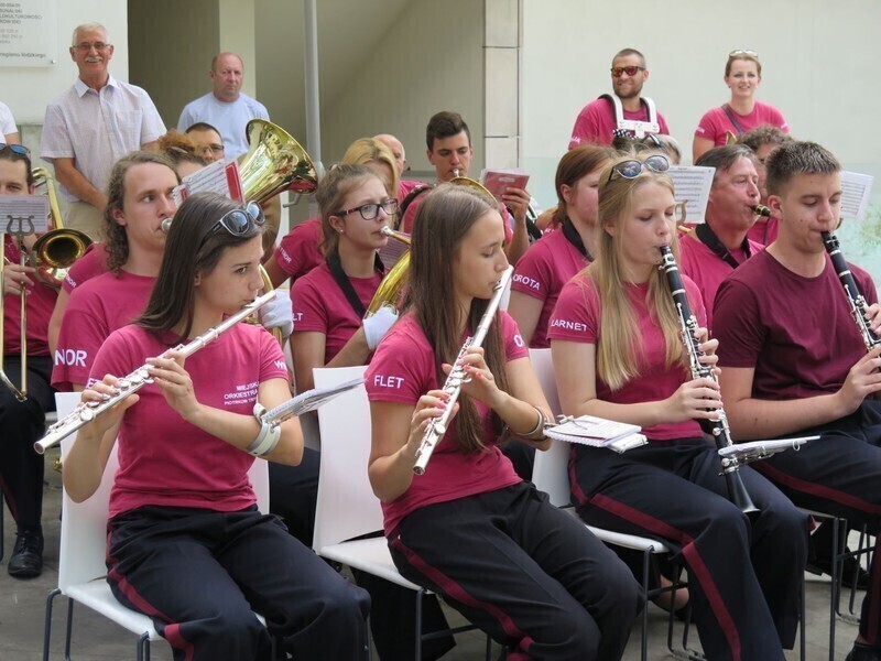 Zdjęcie 10: Bóg stworzył pszczołę