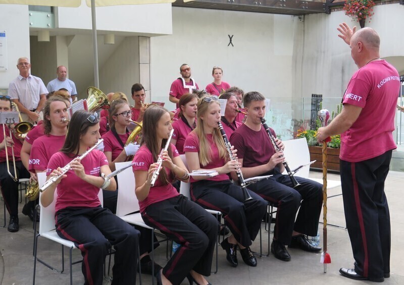 Zdjęcie 11: Bóg stworzył pszczołę