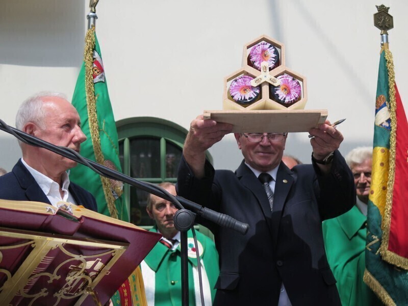 Zdjęcie 13: Bóg stworzył pszczołę