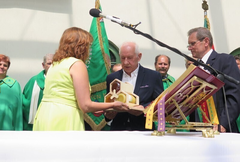 Zdjęcie 14: Bóg stworzył pszczołę