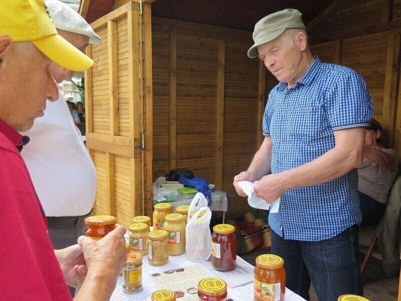 Zdjęcie 15: Bóg stworzył pszczołę