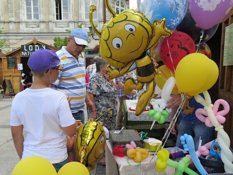 Zdjęcie 16: Bóg stworzył pszczołę