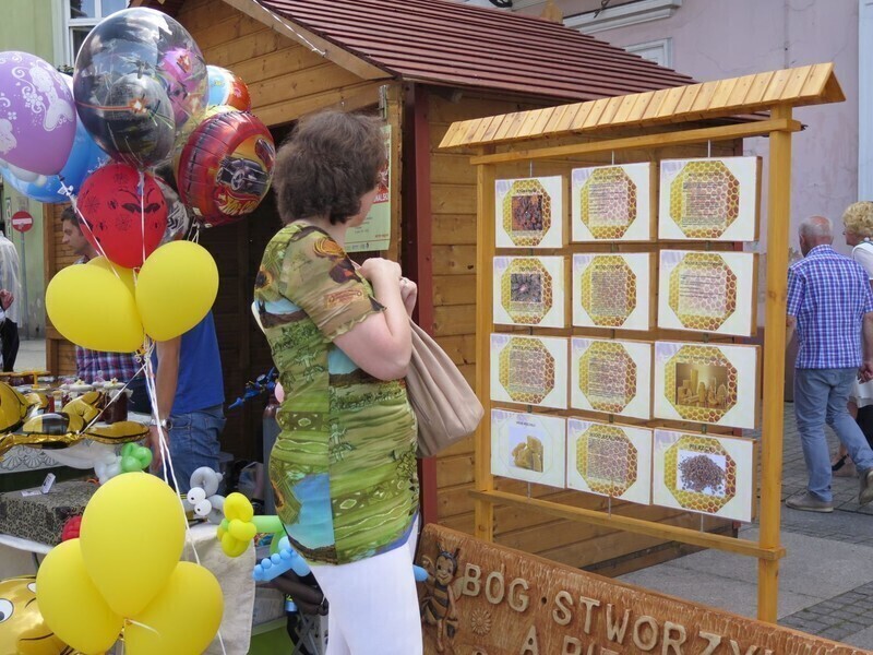 Zdjęcie 17: Bóg stworzył pszczołę