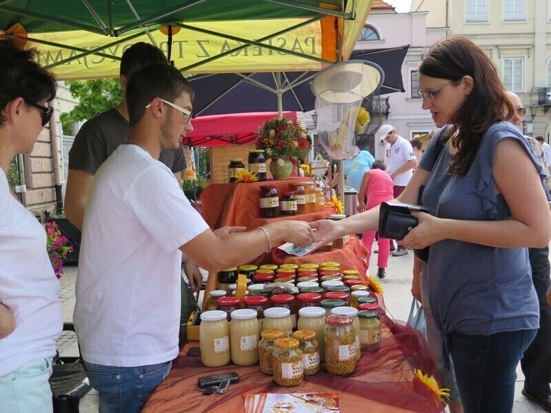 Zdjęcie 22: Bóg stworzył pszczołę