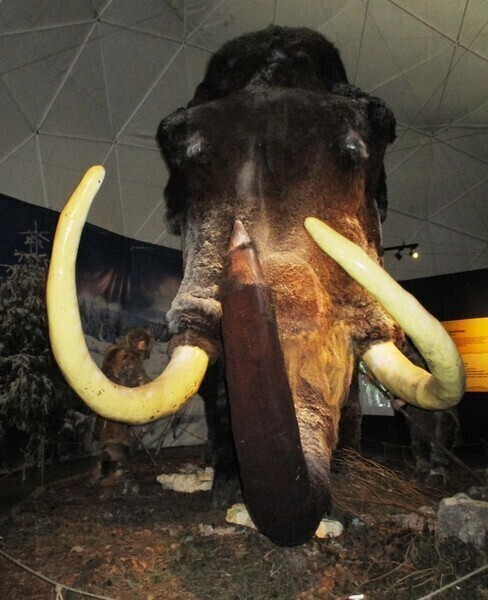 Zdjęcie 5: Dzieci z Piotrkowa w Jaskini Raj 