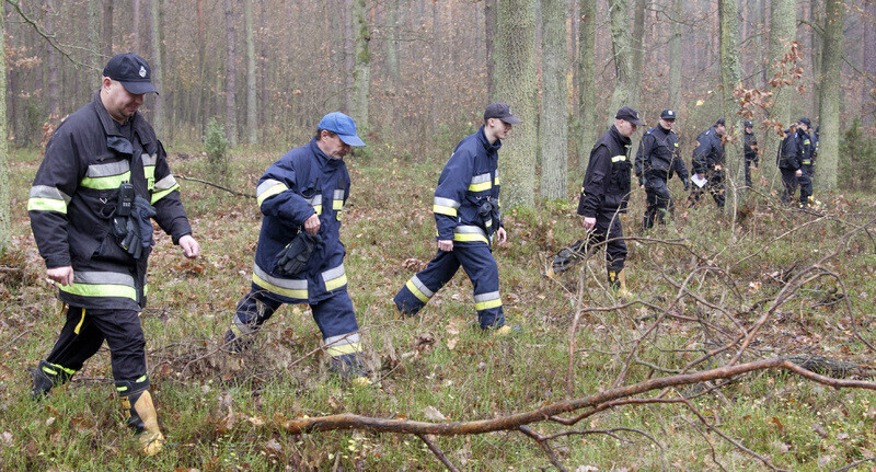 Koleżanki wybrały się na grzyby jedna zaginęła