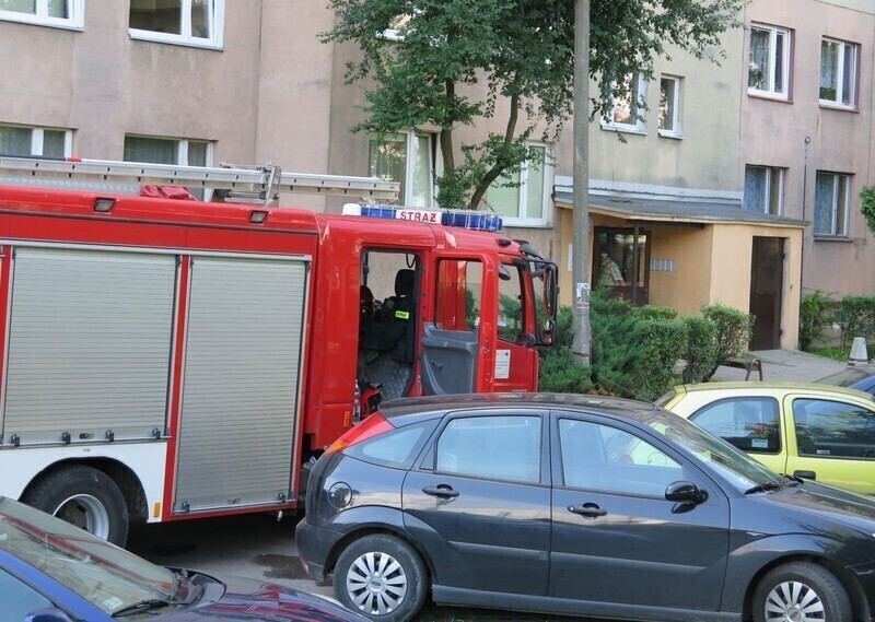 Zdjęcie 6: Trzy wozy strażackie do jednego garnka 