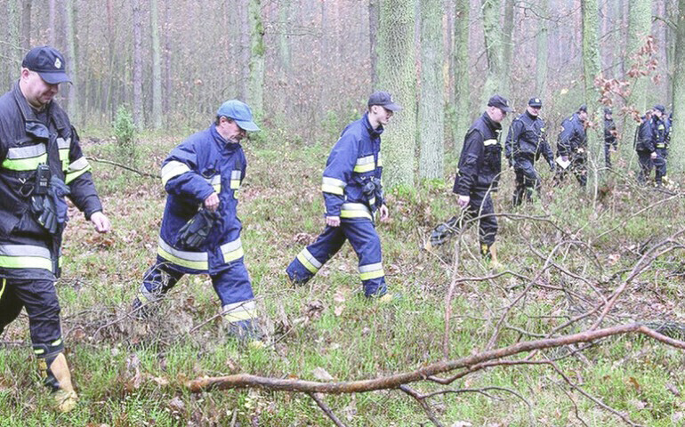 Idziesz do lasu Uważaj na siebie