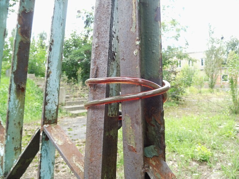 Zdjęcie 3: Dzika dżungla przy Batorego. Kto chętny? 