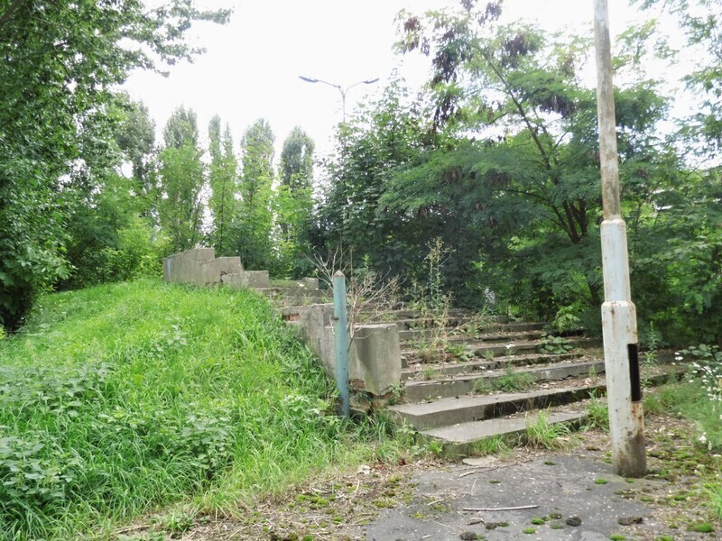 Zdjęcie 4: Dzika dżungla przy Batorego. Kto chętny? 