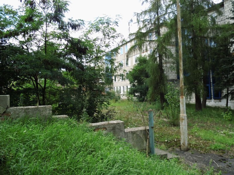 Zdjęcie 5: Dzika dżungla przy Batorego. Kto chętny? 