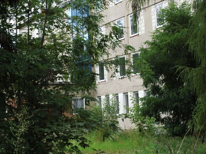 Zdjęcie 9: Dzika dżungla przy Batorego. Kto chętny? 