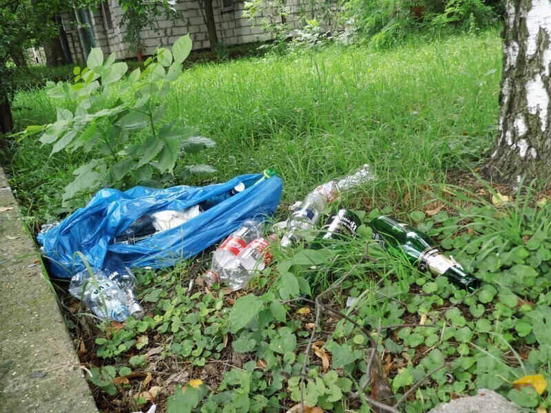 Zdjęcie 10: Dzika dżungla przy Batorego. Kto chętny? 