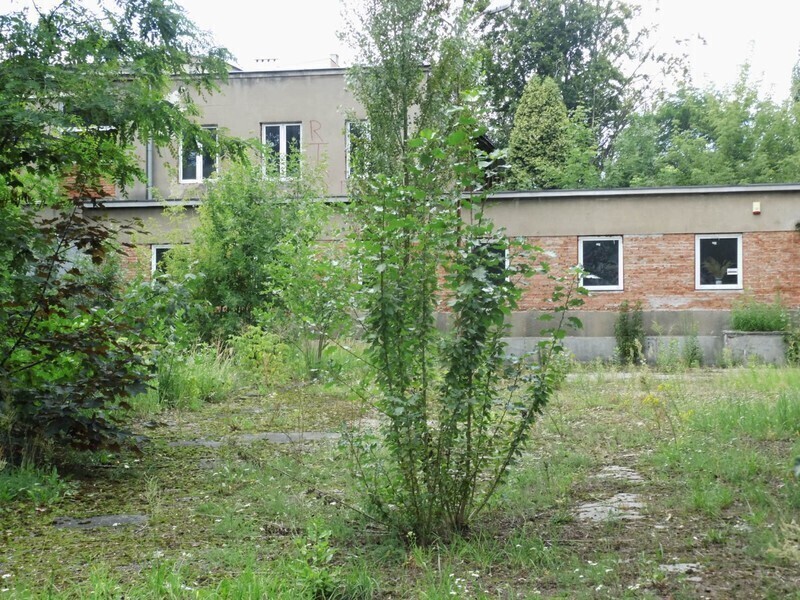 Zdjęcie 12: Dzika dżungla przy Batorego. Kto chętny? 