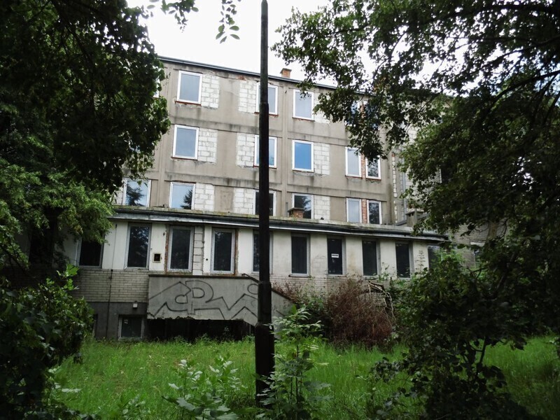 Zdjęcie 15: Dzika dżungla przy Batorego. Kto chętny? 