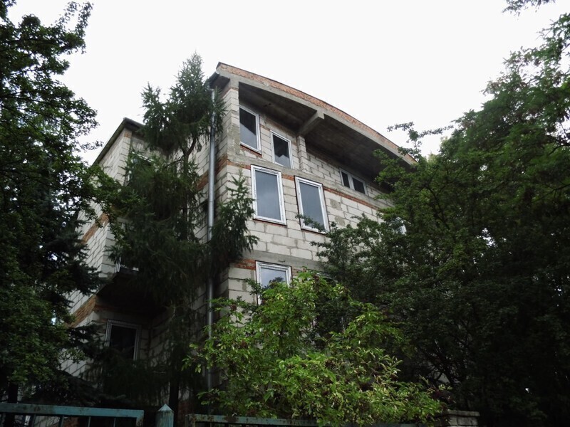 Zdjęcie 16: Dzika dżungla przy Batorego. Kto chętny? 