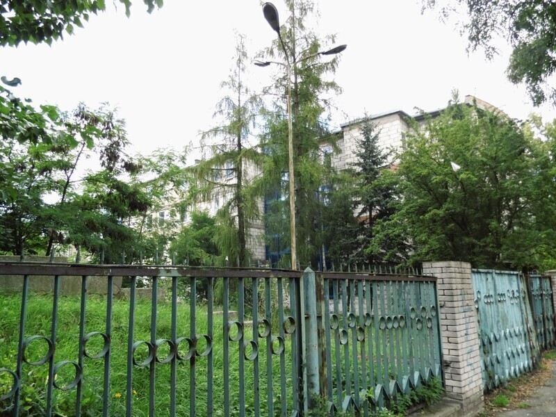 Zdjęcie 17: Dzika dżungla przy Batorego. Kto chętny? 