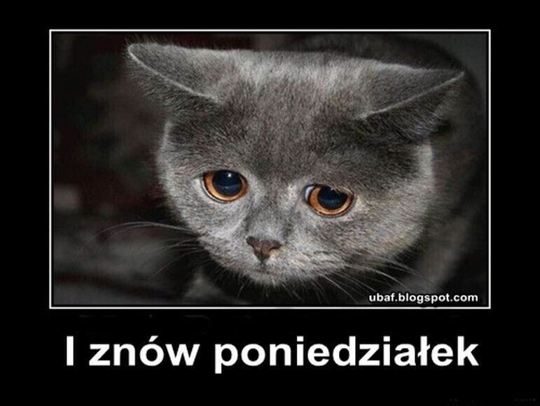 Nie lubię poniedziałku Jak mieszkańcy województwa łódzkiego radzą sobie ze stresem