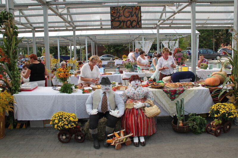 Zdjęcie 45: Święto Plonów w Moszczenicy