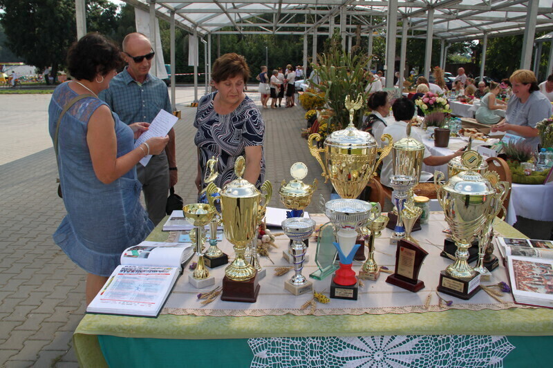 Zdjęcie 46: Święto Plonów w Moszczenicy