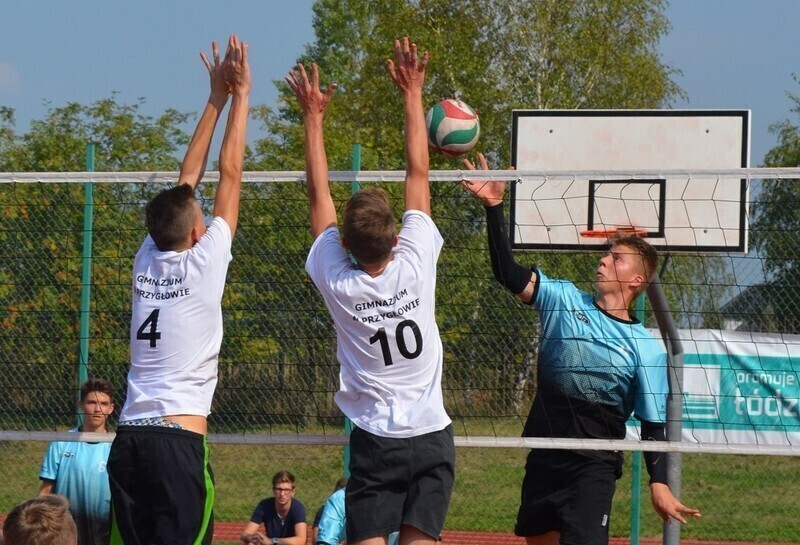 Zdjęcie 2: Gimnazjaliści z Przygłowa najlepsi