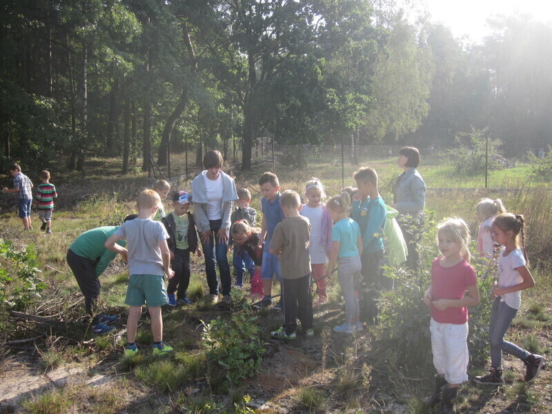 Zdjęcie 3: Sprzątanie  świata w Jarostach