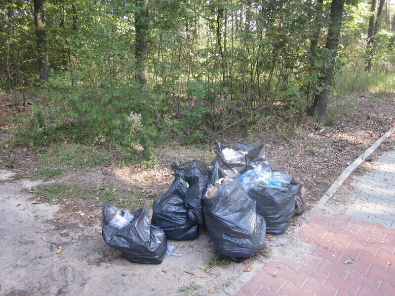 Zdjęcie 9: Sprzątanie  świata w Jarostach