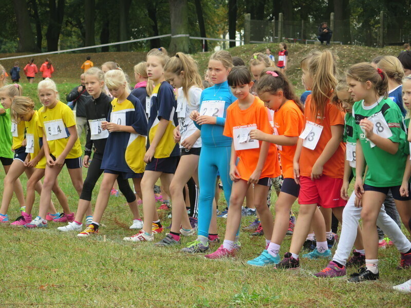 Biegi przełajowe w Wolborzu