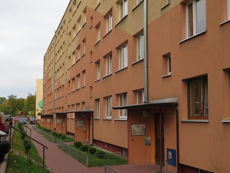 Zdjęcie 1: Mówią o nim psychol z Łódzkiej