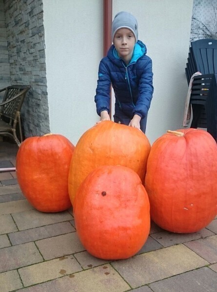 Olek bije kolejne rekordy