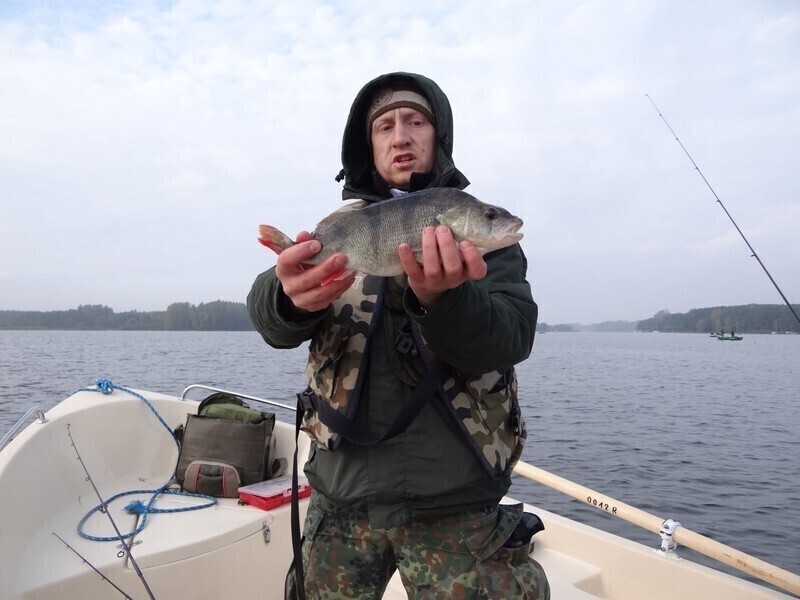 Zdjęcie 1: Złowili 13 szczupaków i 76 okoni 