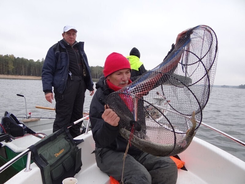 Zdjęcie 12: Złowili 13 szczupaków i 76 okoni 