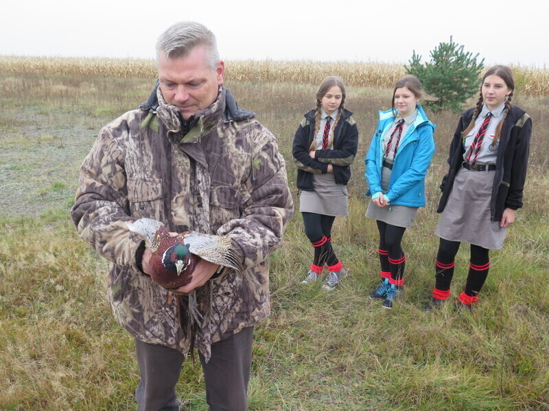 Orły wypuściły bażanty