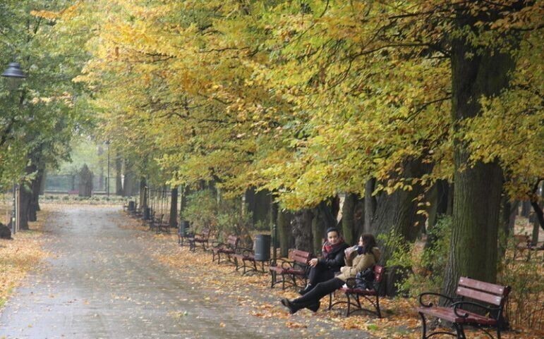Nie będzie kawiarni w parku