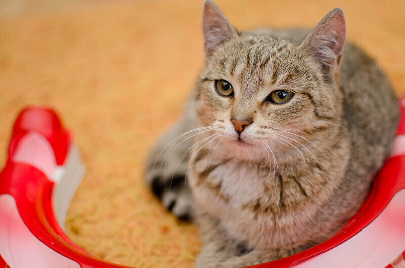 Zdjęcie 2: Wspierajmy 