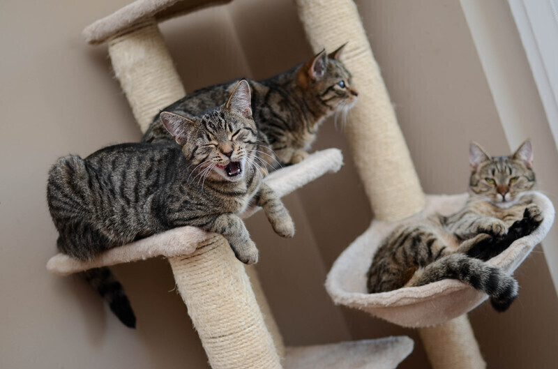 Zdjęcie 6: Wspierajmy 